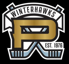  AHL teams rebrand ahead of 2021-22 season
