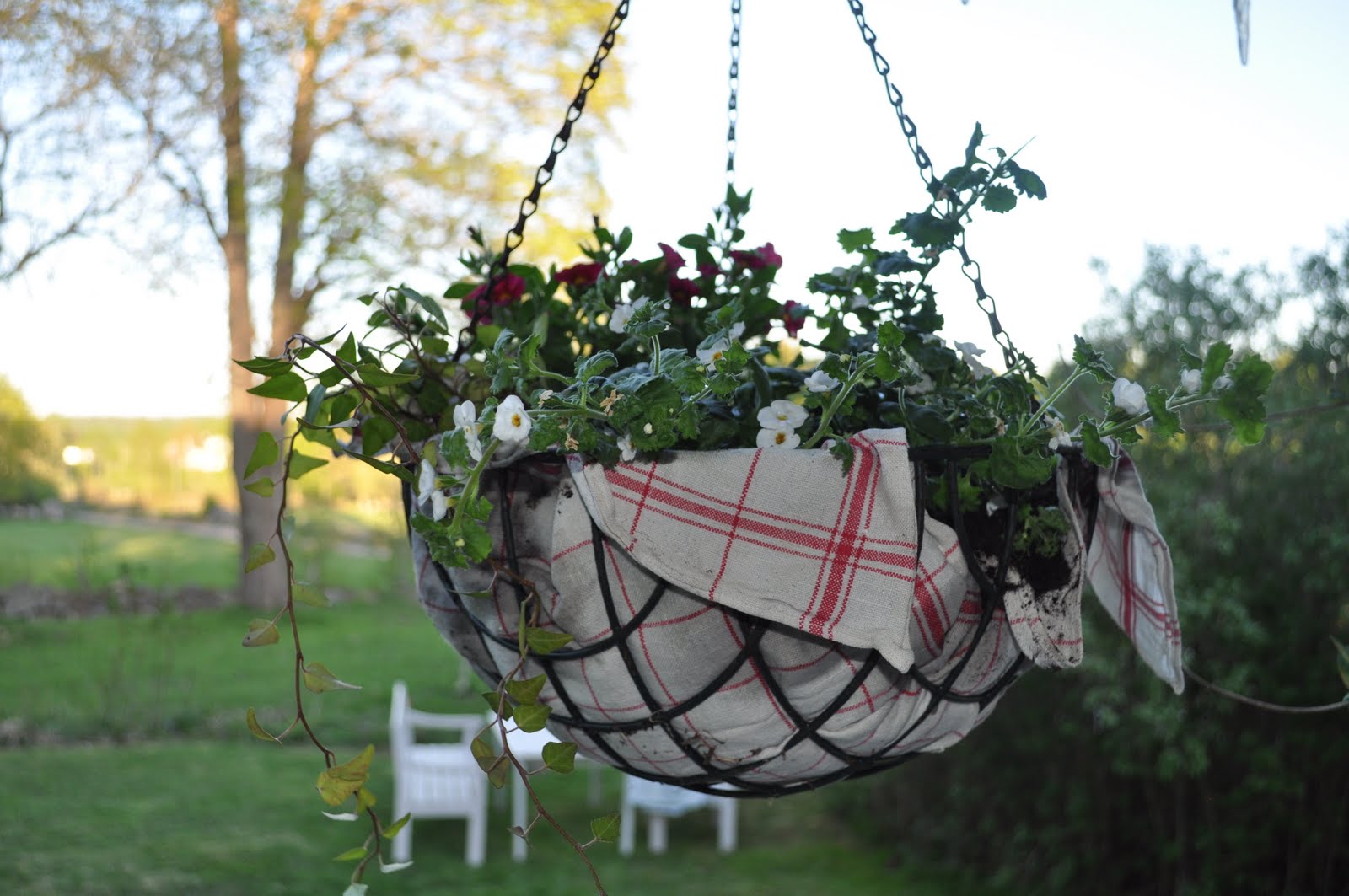 Ingapyssel Hanging baskets