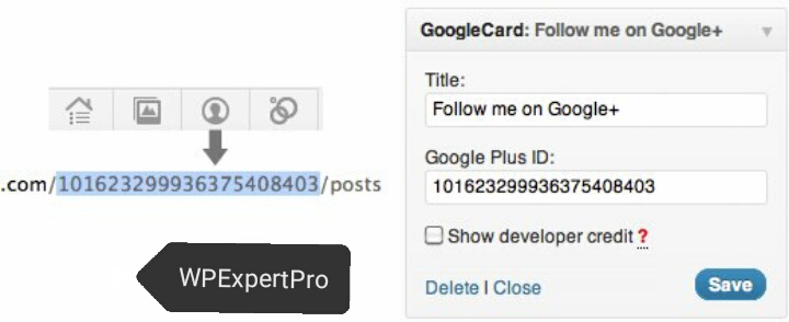 How to Display Google+ Profile Widget in WordPress