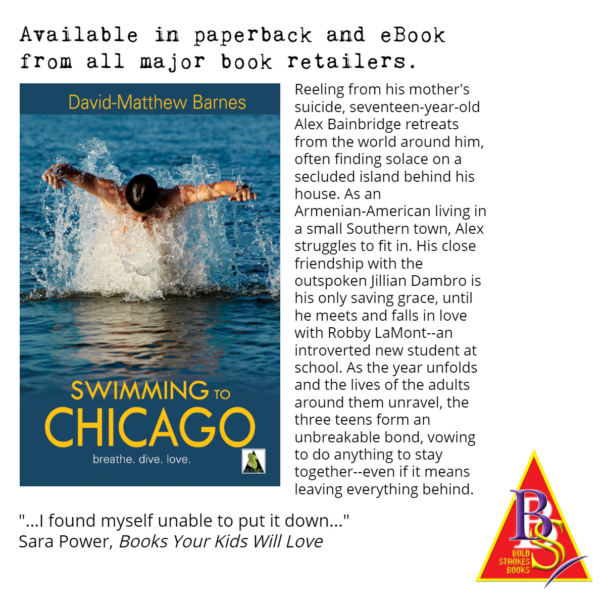 David Matthew Barnes Swimming To Chicago By David Matthew Barnes