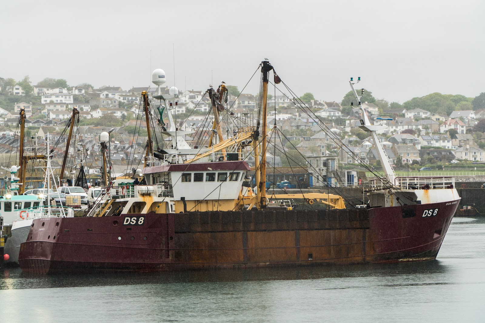 Through the Gaps! - Newlyn Fishing News: Newlyn visitors includes one ...