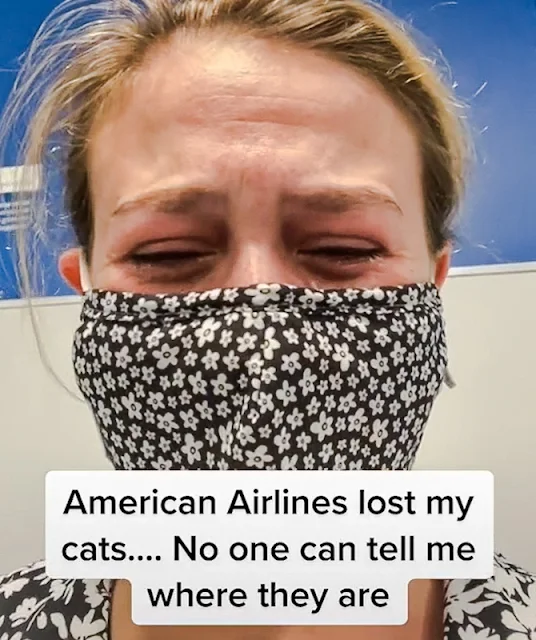 Ariel Dale says "American Airlines lost my cat. No one can tell me where they are!"