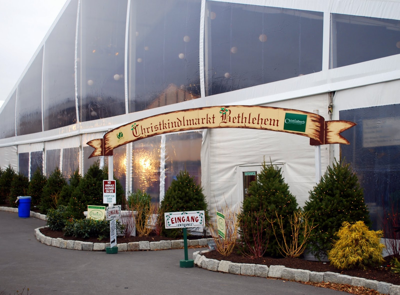 Mille Fiori Favoriti Christmas City Bethlehem, Pennsylvania