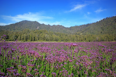 tumblr_ms6p3umhy61scjk6lo1_1280 Eksplor Taman Nasional Bromo Tengger Malang