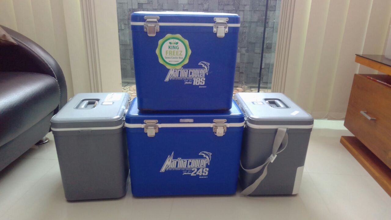 Sewa kulkas freezer Jogja Sewa Cooler Box Jogja