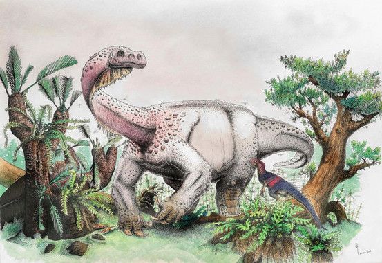 Ledumahadi El Nuevo Dinosaurio Gigante Del Jurasico Encontrado En