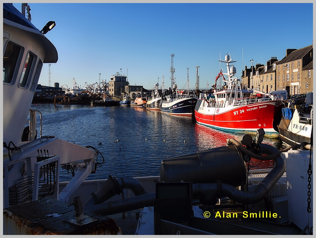 Peterhead Fishing Harbour