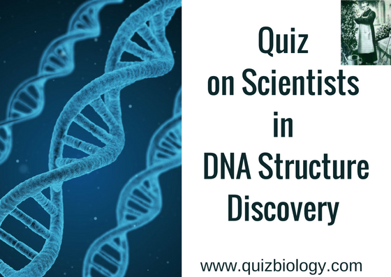 Quiz on DNA Scientists