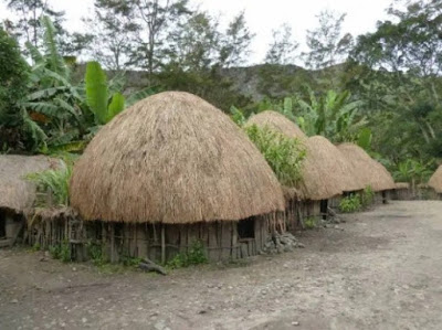 Gambar Rumah Honai Provinsi Papua