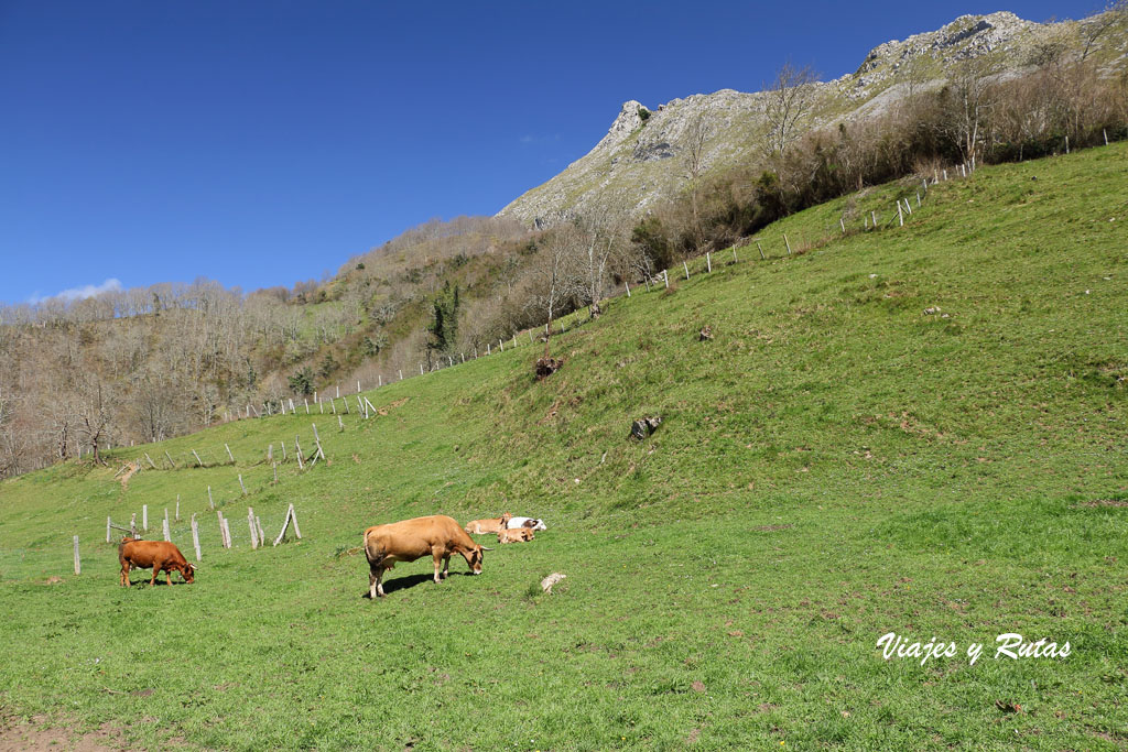 Olla de San Vicente, Asturias