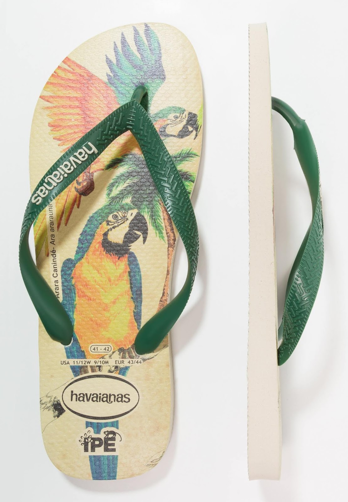 havaianas parrot