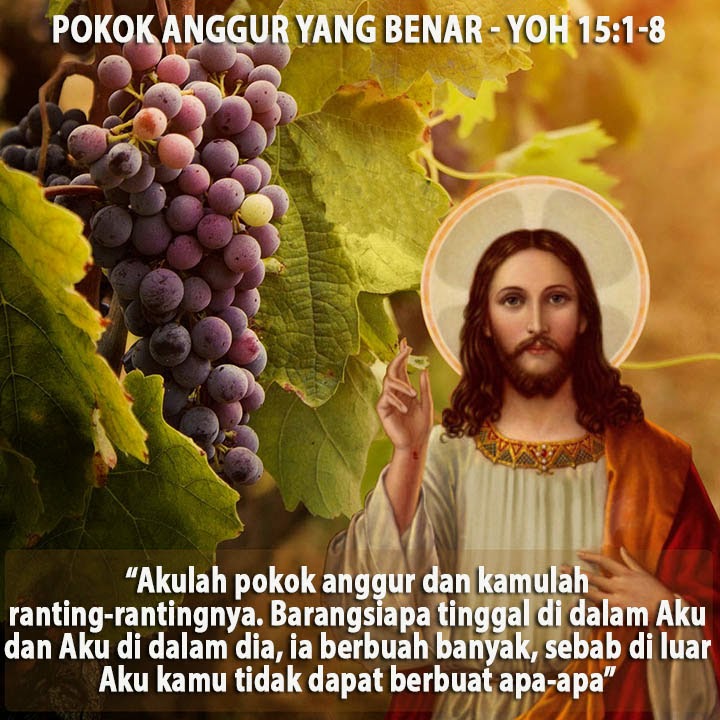 Ordo Kapusin Kustodi General Sibolga Tinggal Dalam Yesus Dan Menghasilkan Buah Berlimpah Kis 9 26 31 1yoh 3 18 24 Yoh 15 1 8
