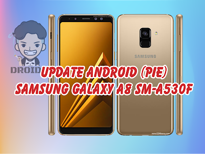 Update Samsung Galaxy A8 Firmware SM-A530F Android Pie