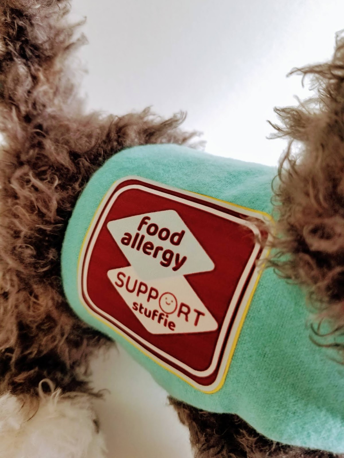 Food Allergy Flannel & Fluffs