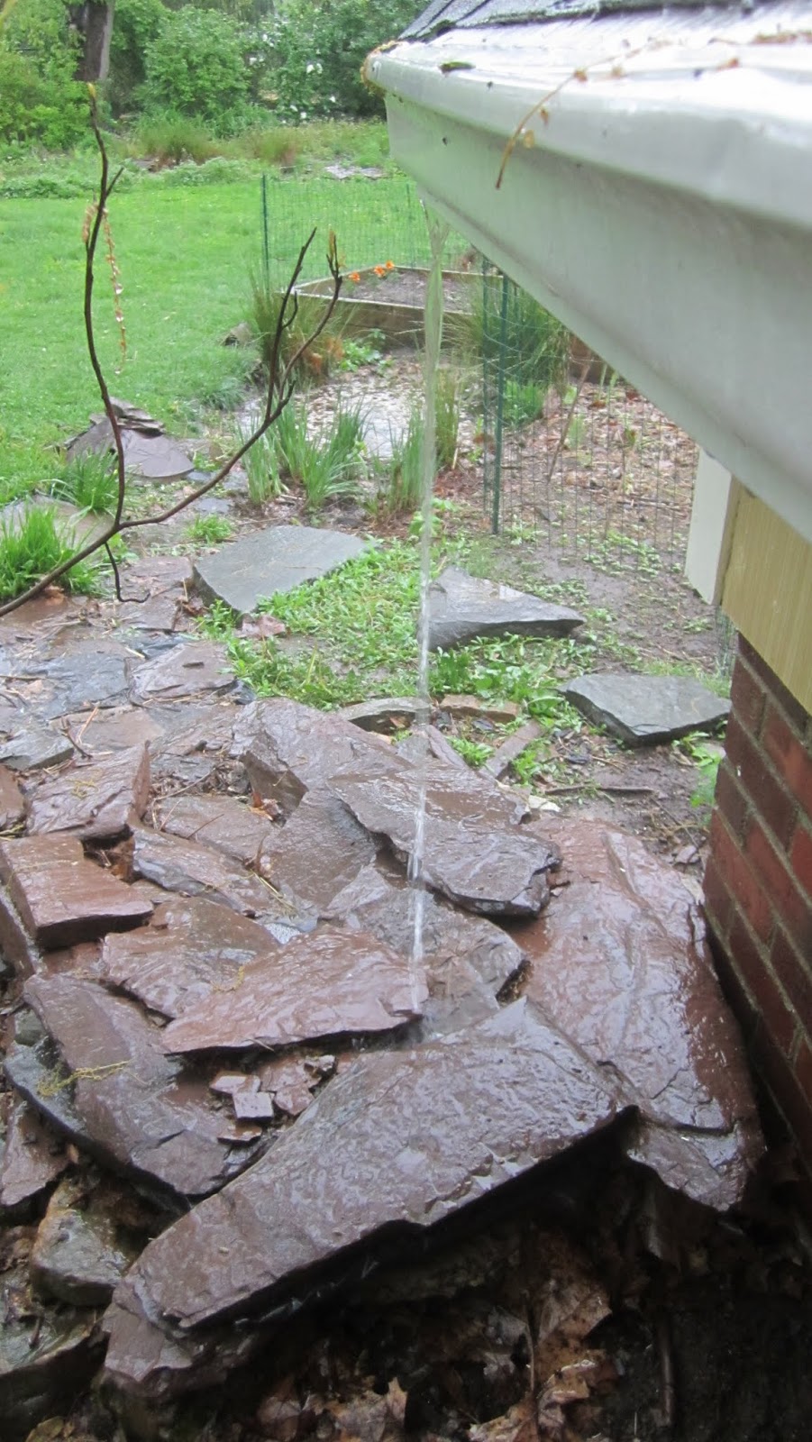 Princeton Nature Notes: Backyard Habitat Recipe