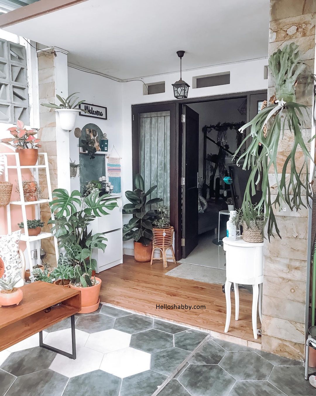 Percantik Teras Rumah dengan 6 Desain Tanaman Gantung yang Menarik Mata