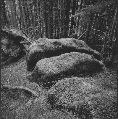 © Phil Rogers Dundee, Hasselblad SWC/M, Ilford FP4+, Pyrocat-HD,