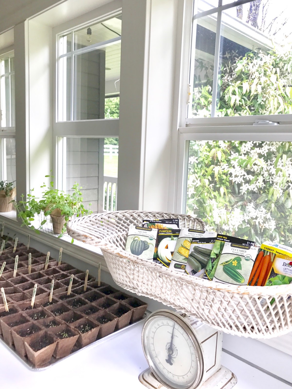 free download gardening indoors free download gardening indoors