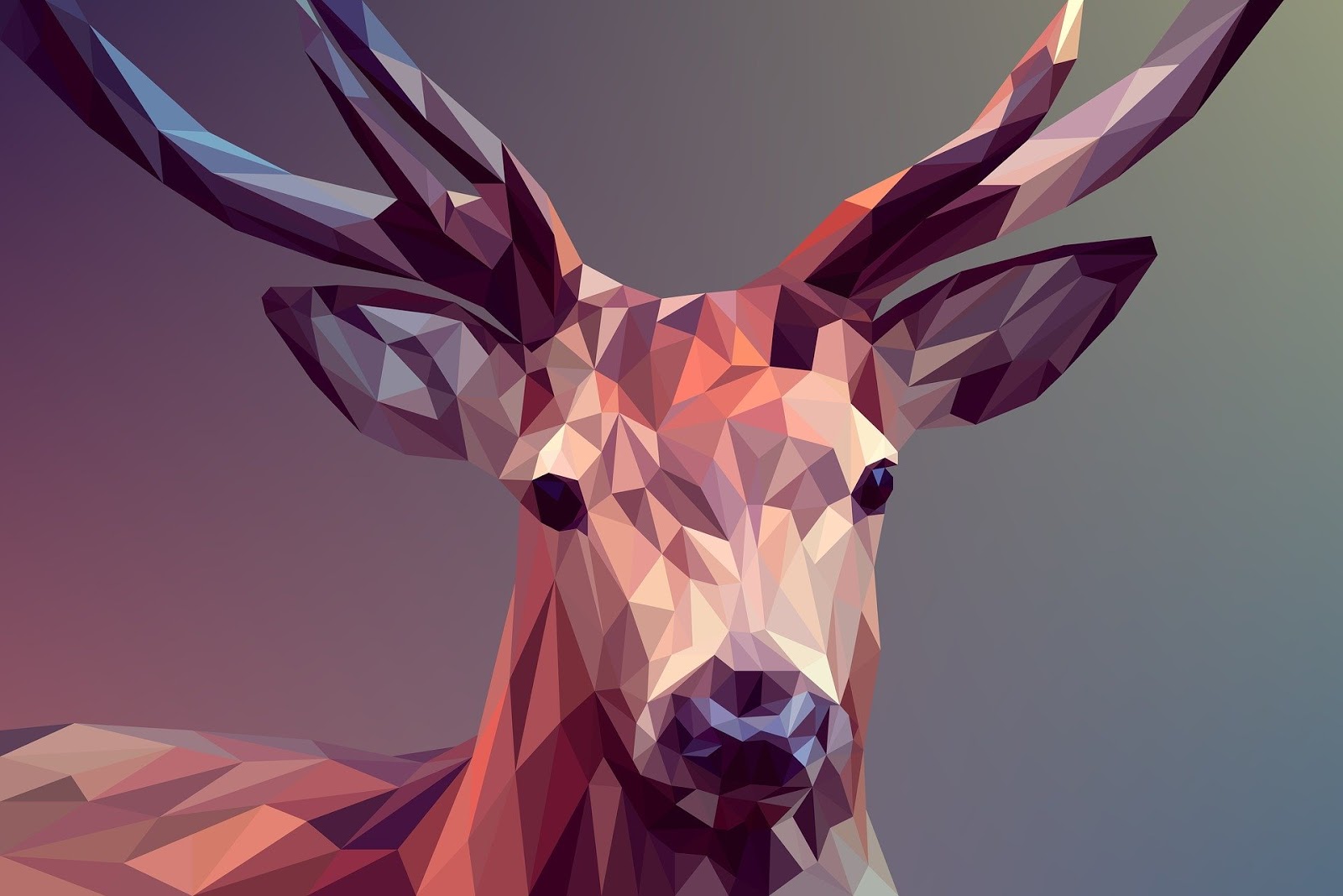 Spur Your Creativity With These Inspiring Graphic Design Quotes | A