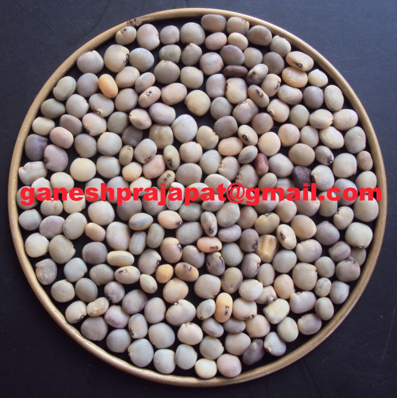 GUAR GUM INFORMATION AND GUAR GUM CULTIVATION IN INDIA Guar seed and