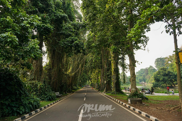 Kebun Raya Bogor