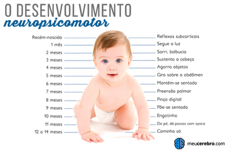 O desenvolvimento do bebê até 1 ano. Educação PréNatal O desenvolvimento do bebê até 1 ano. Educação PréNatal