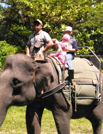 Setidaknya Inilah 5 Manfaat Wisata Ke Kebun Binatang Bagi Anak Anak