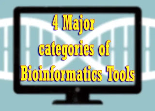 4 Major categories of Bioinformatics Tools