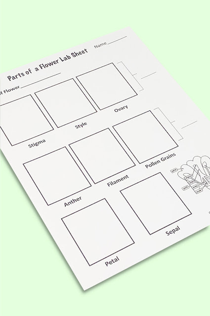Worksheets Fourth grade science