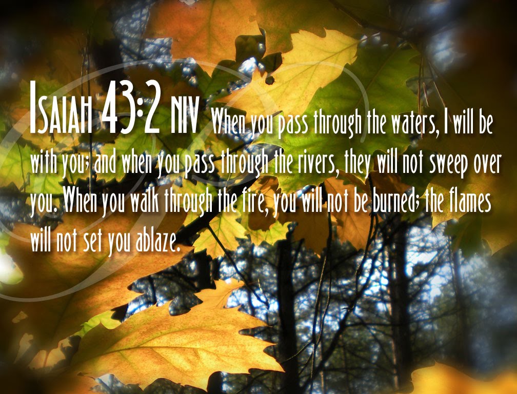 bible verse on healing and deliverance bible verse on healing and deliverance