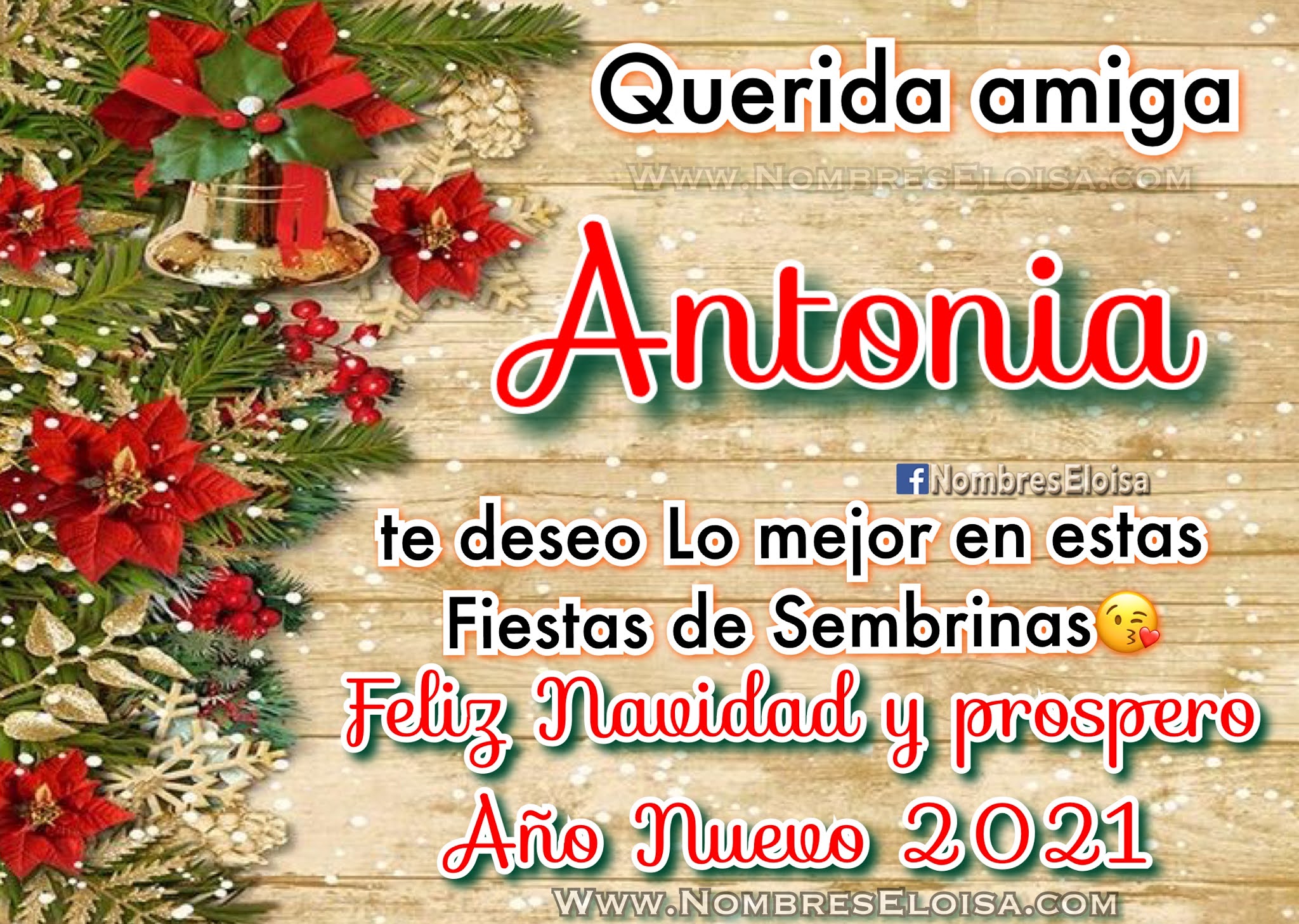 Querida amiga felices fiestas de sembrina