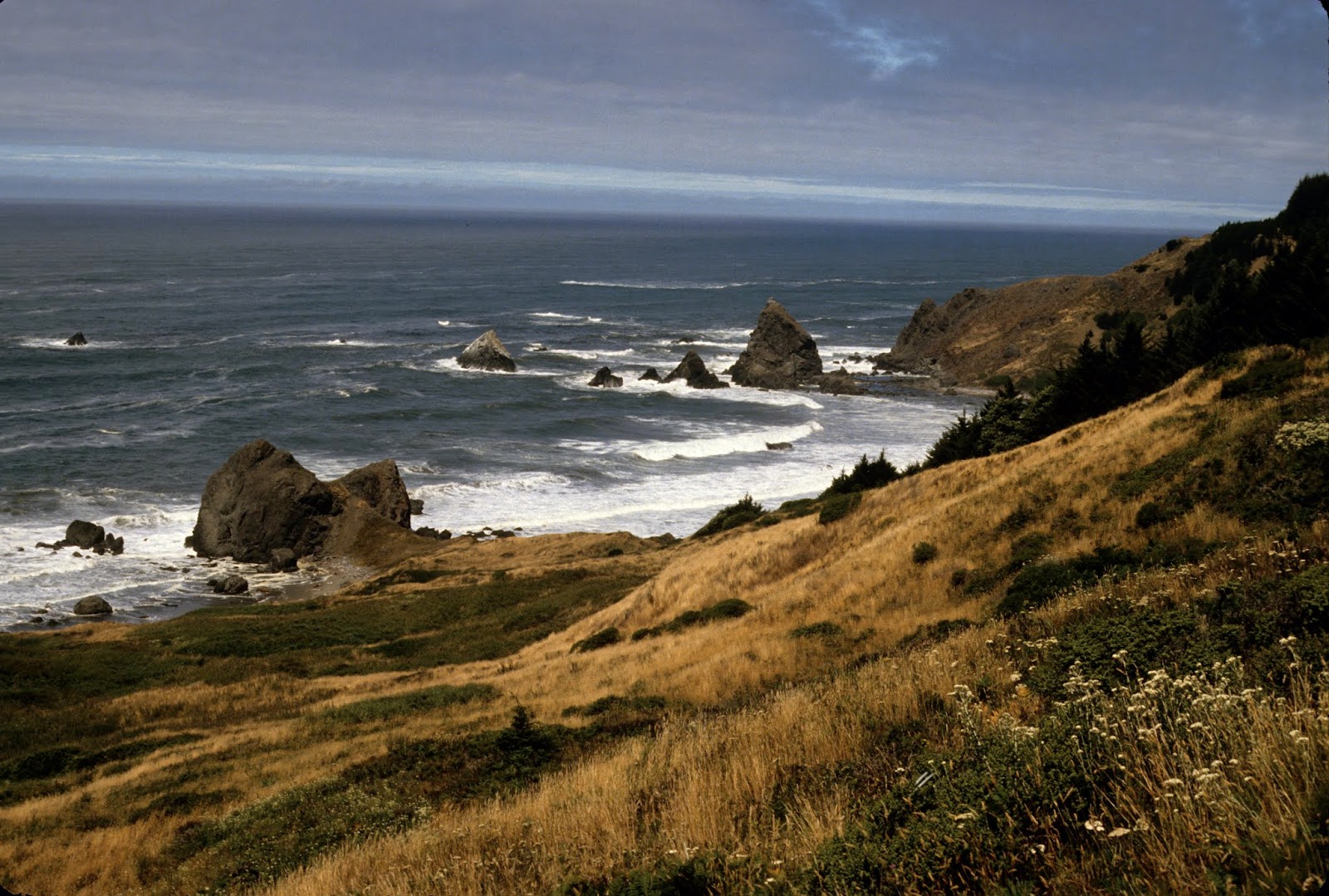 Guncraft: Southern Oregon Coast