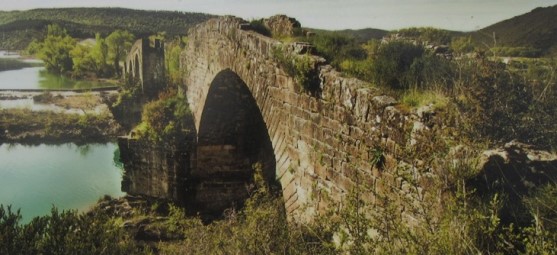 Monasterio de San Salvador de Leyre PUENTE%2BDE%2BLOS%2BRONCALESES