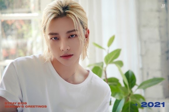 Stray Kids' Hyunjin embroiled in school bullying rumors