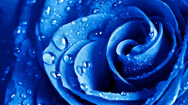 Fondo Full HD Rosa Azul con Gotas de Agua