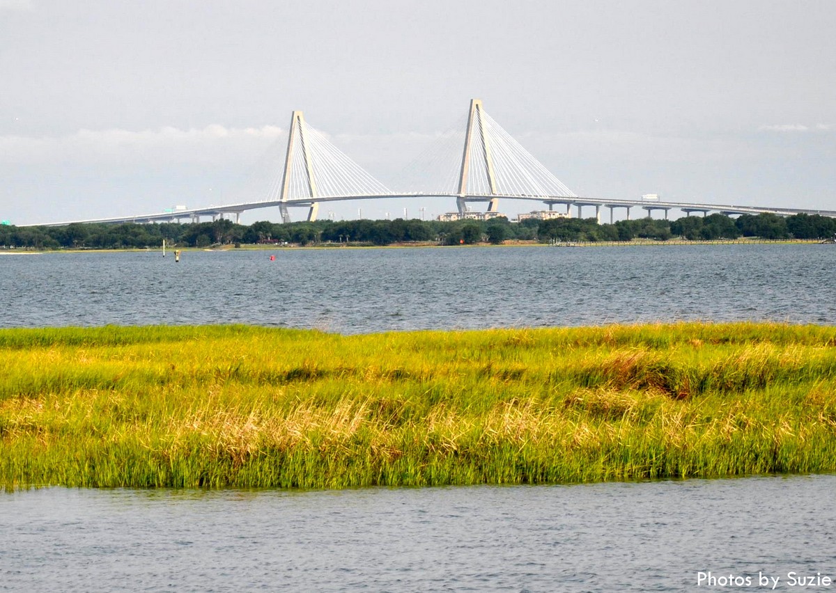 My View of Charleston and the Lowcountry Ravenel Bridge