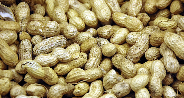 Peanut market income declines Agriculture in Gujarat but groundnut market prices stabilize