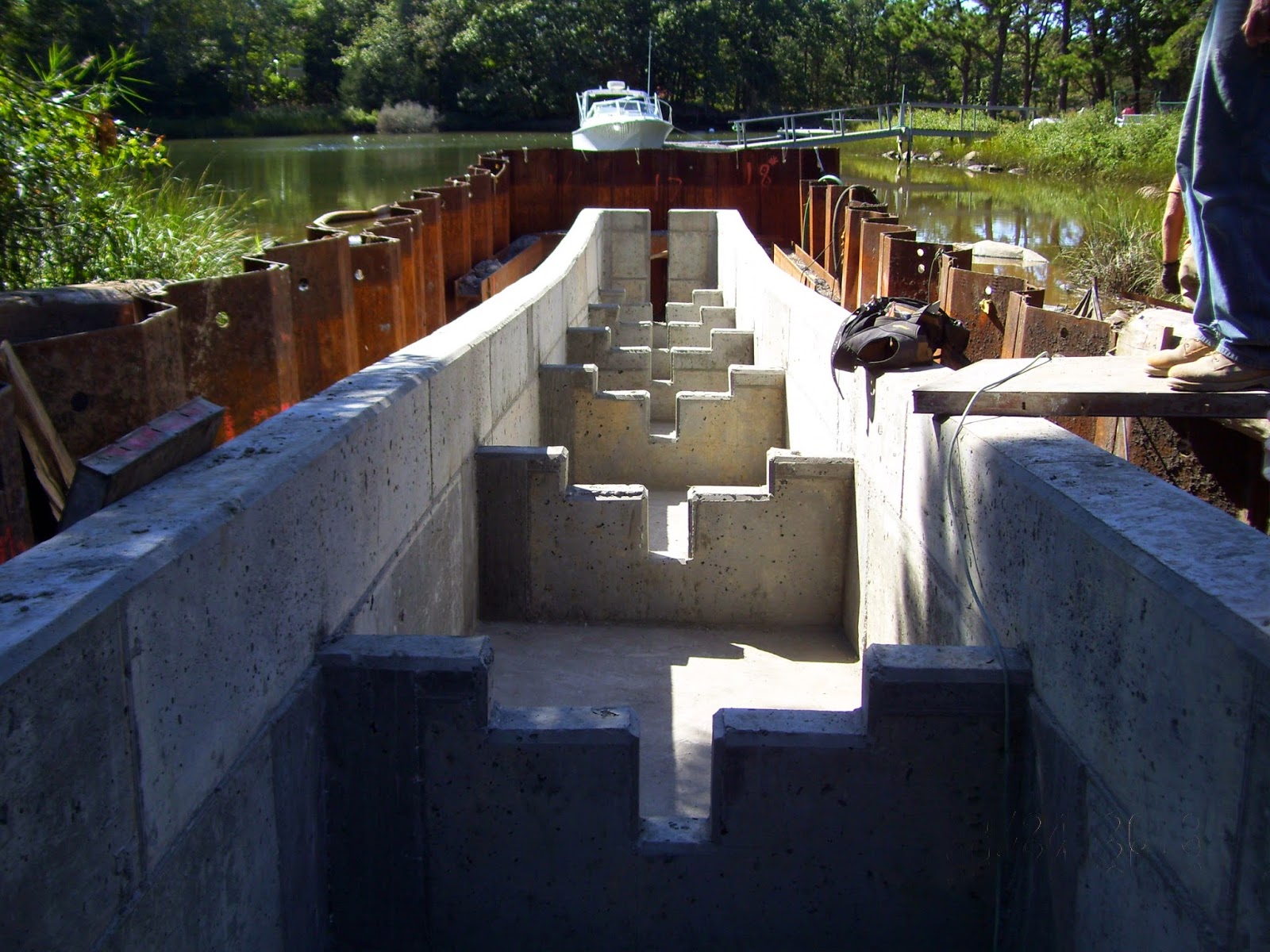 Cape Cod Water Resources Restoration Project New Cedar Lake fish