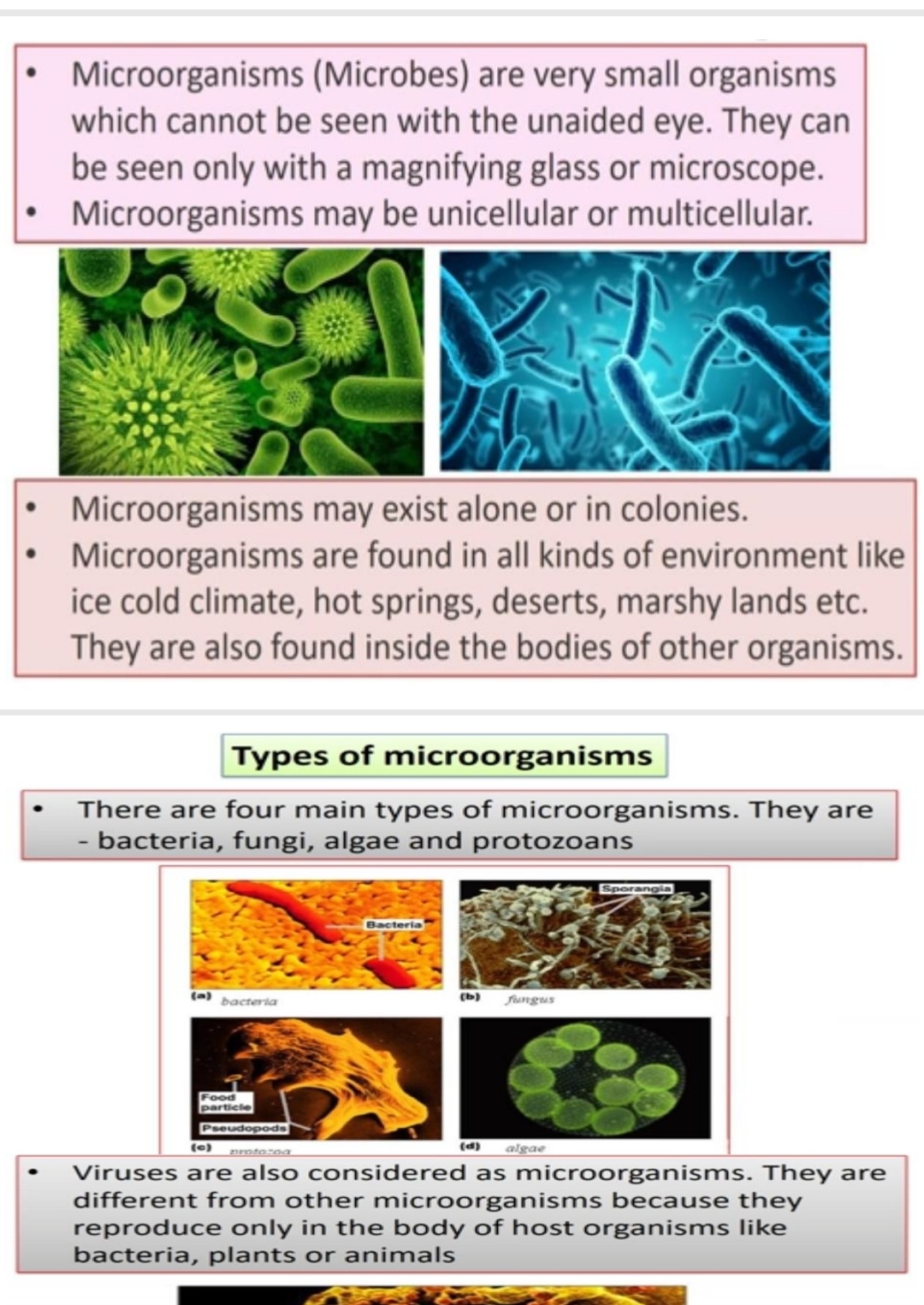 apsg: class8_Microorganisms Lesson notes