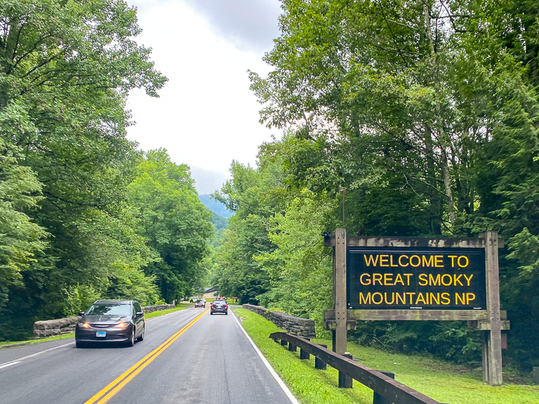 Tales of the Flowers: The Flowers Explore - The Great Smoky Mountains  National Park - 2021/08/01