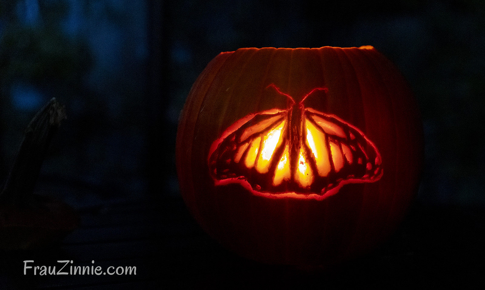 Butterfly Pumpkin Stencil