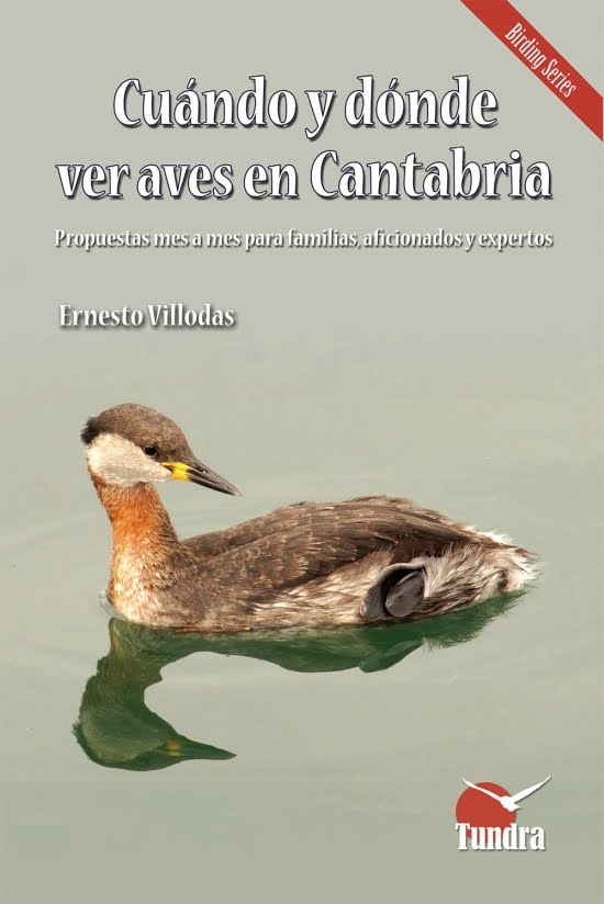 Cuándo y dónde ver aves en Cantabria