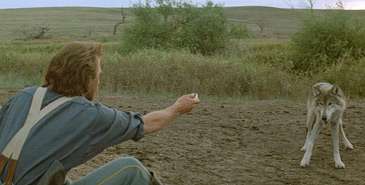 Penny Forum Reflections On Kevin Costner S Film Of Dances With Wolves Kevin costner borrowed neil young's pet buffalo for 'dances with wolves'. dances with wolves