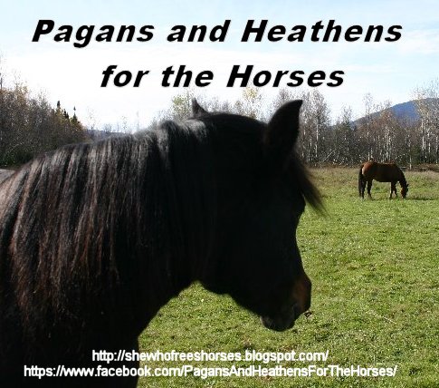 Pagans & Heathens for the Horses!