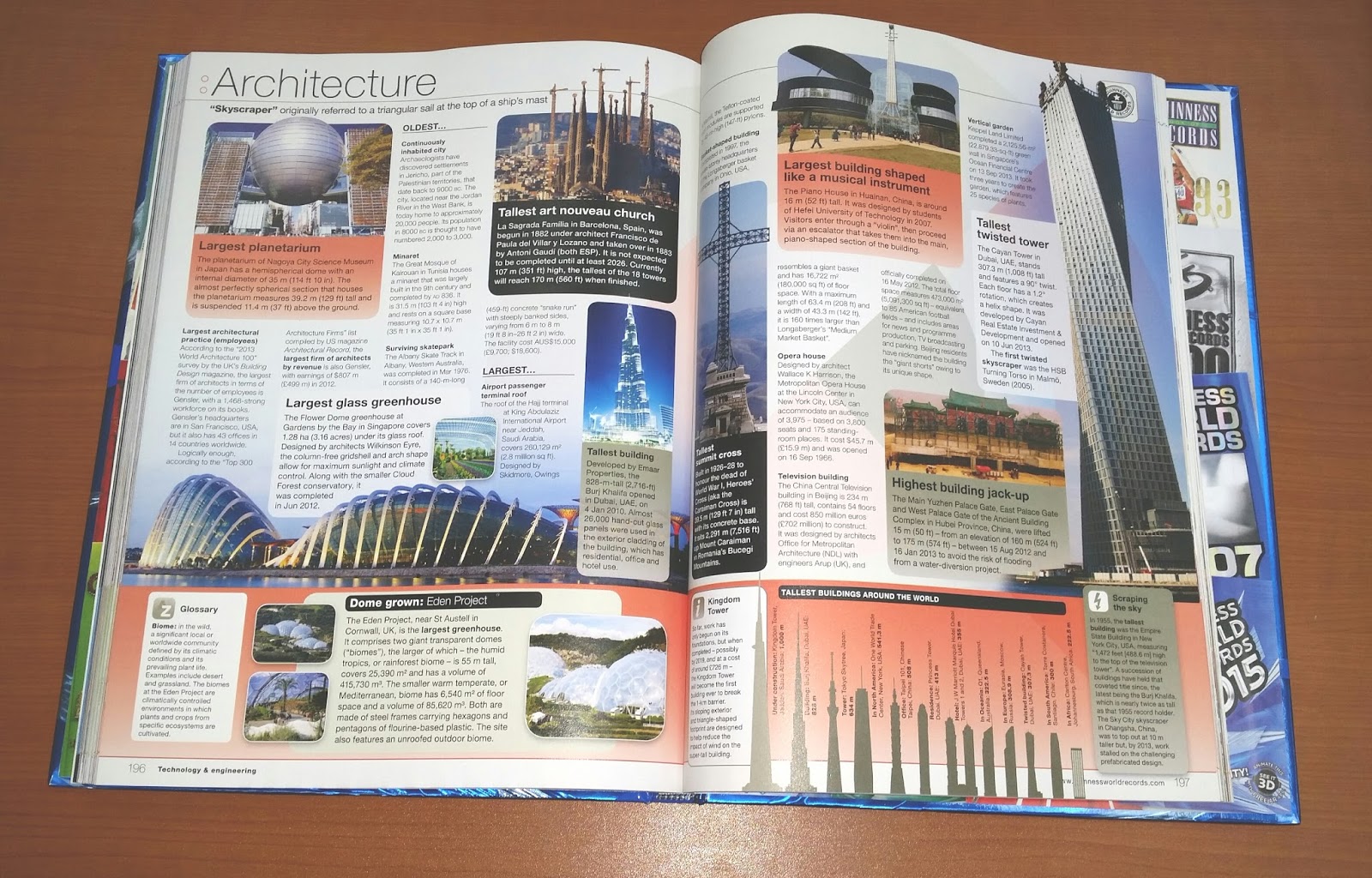 Red Fox Photographs, Diaries, and Thoughts Guinness World Records