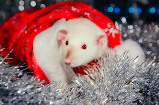 新年のマウスとラットの元のはがき 2026. マウスの年に無料、美しいライブクリスマスカード
