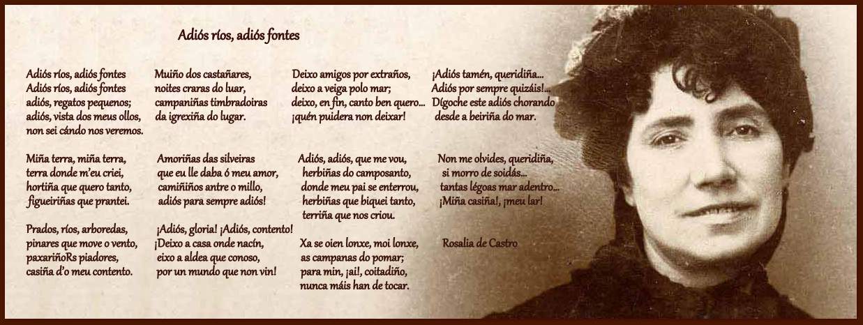 Ver las imágenes de origen
