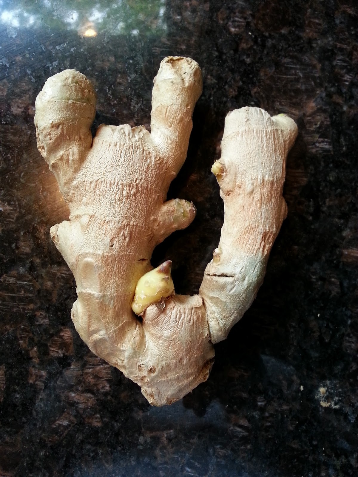 Frozen Dinner Diva How to store fresh ginger root