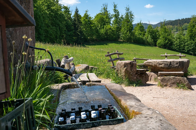 Premiumwanderweg Murgleiter | Etappe 4 von Schönmünzach nach Baiersbronn | Wandern nördlicher Schwarzwald 06