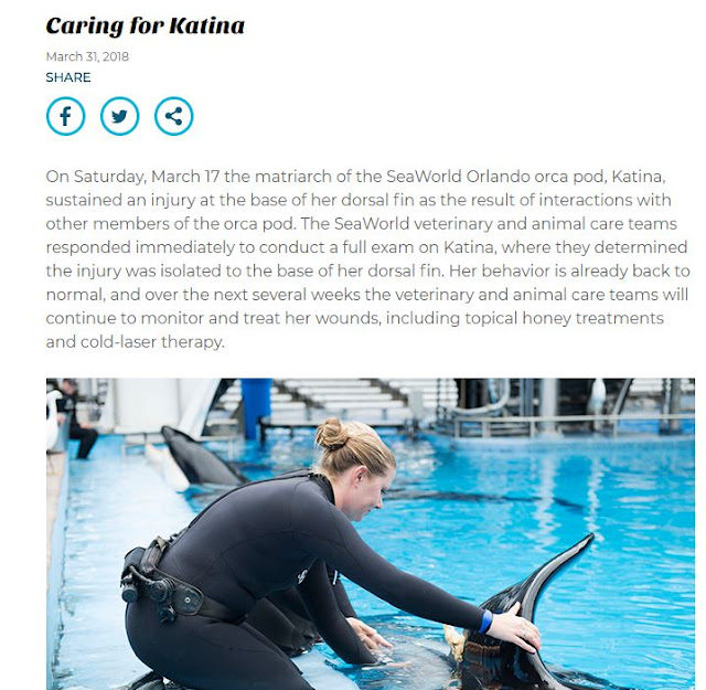 SeaWorld Electric Eel Coaster Temporarily Closed; Injury Reported to OSHA  Weeks Ago – NBC 7 San Diego